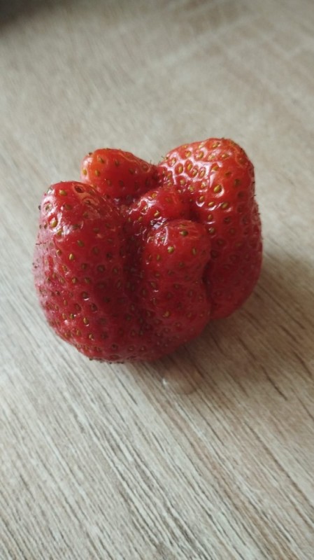 Create meme: strawberries are big, strawberries of unusual shape, strawberries are unusual