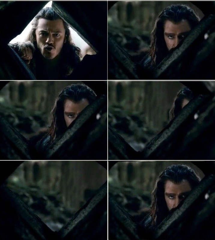 Create meme: Thorin the hobbit, Thorin Oakenshield , meme from the hobbit