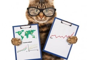 Create meme: cat, business cat, cat accountant