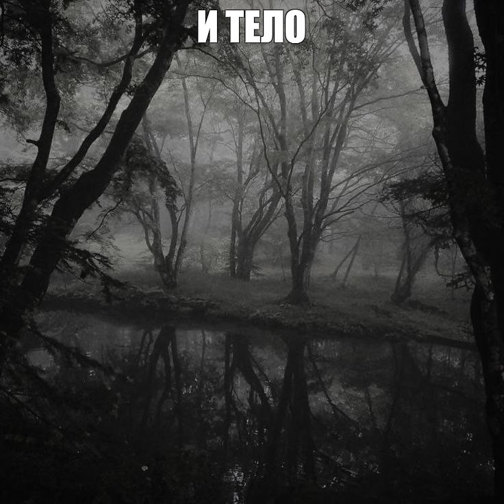 Create meme: dark dark forest, forest misty, the scariest legends