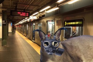 Create meme: subway station, subway train