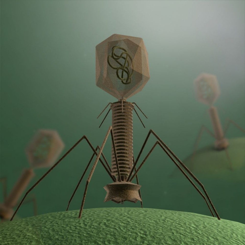 Модель вируса бактериофага
