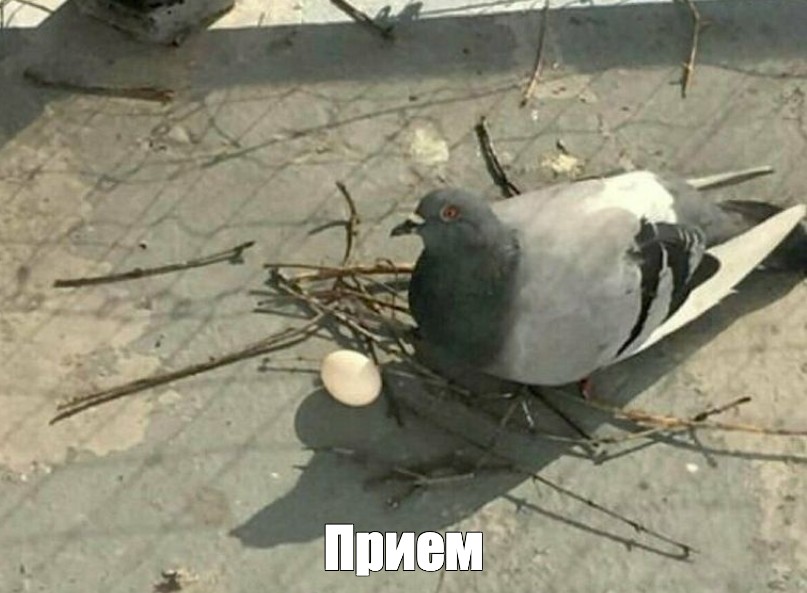 Создать мем: null