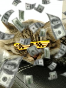 Create meme: cats, cat, cash cat