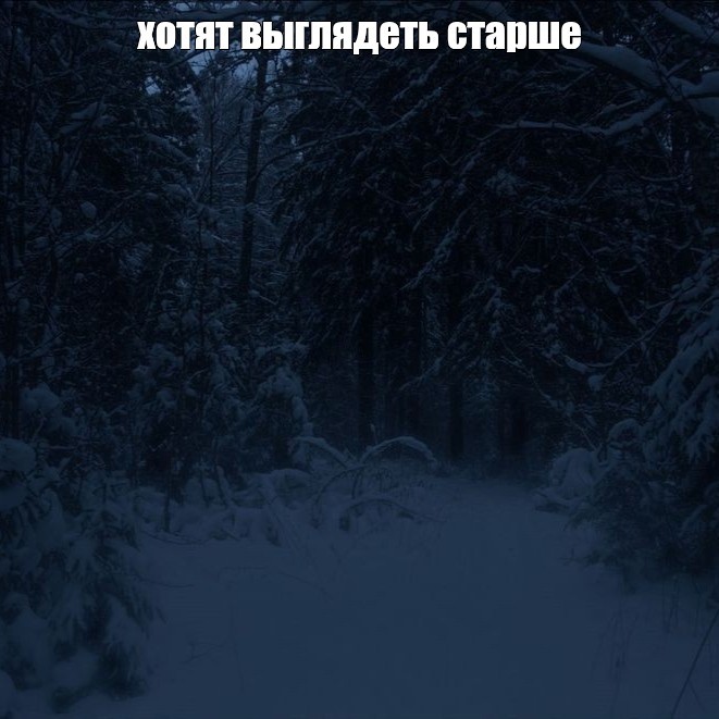 Create meme: Winter forest night, Winter night forest, night winter forest