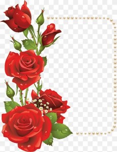 Создать мем: цветы рамка, рамочка с розами, рамка с розами на прозрачном фоне