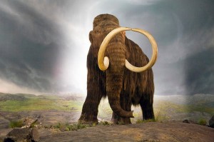 Create meme: the mammoth and the elephant, mammoth, the woolly mammoth