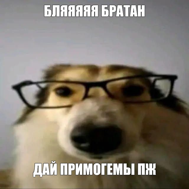 Создать мем: null