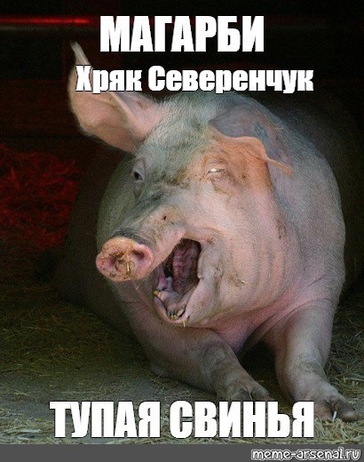 Create meme: boar pig, boar boar boar pig, boar 