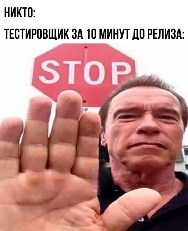 Создать мем: шварценеггер стоп мем, мем шварценеггер, arnold schwarzenegger look a like