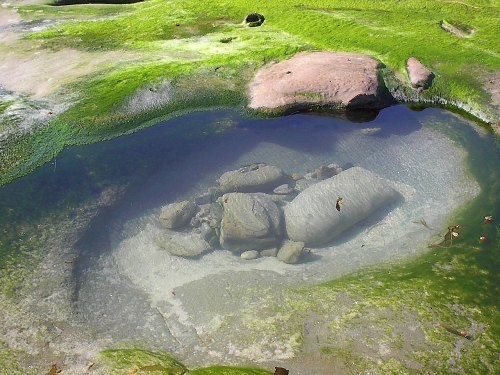 Создать мем: живые камни, археологический комплекс сахасралинга, трованты живые камни