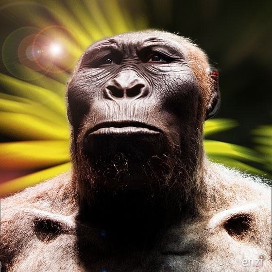 Create meme: paranthropus boisei, Australopithecus afarensis, Australopithecus