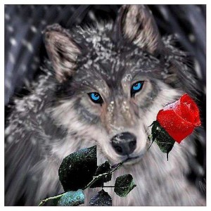 Create meme: wolf red, photo of the wolf and the wolf and rose, wolf with a rose in my mouth