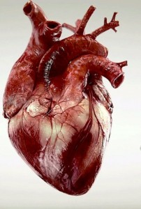 Create meme: acute myocardial infarction, sacred heart, heart