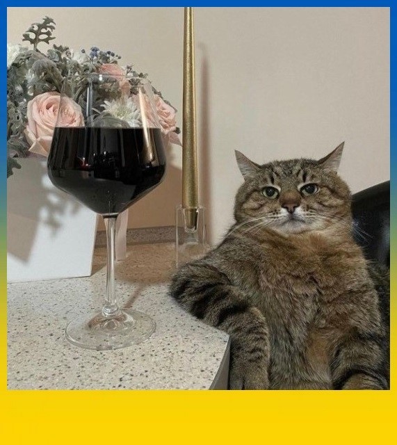 Create meme: The cat with wine meme, cat stepan, cat with a glass of wine