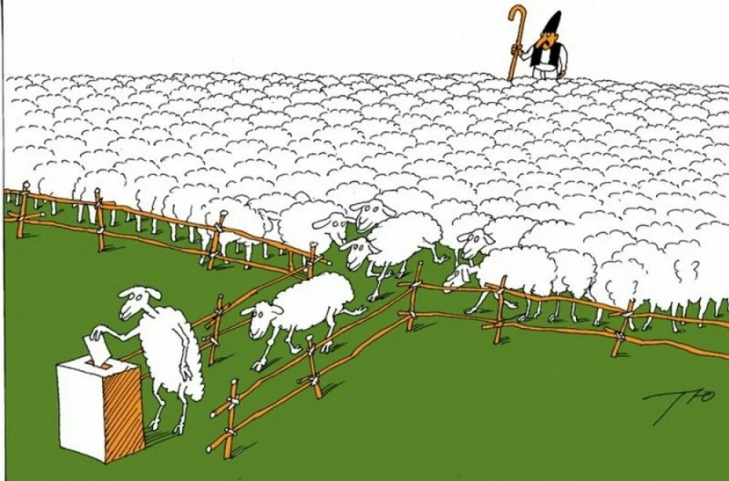 Create meme: sheep in the pen, sheep caricature, The ram is a caricature