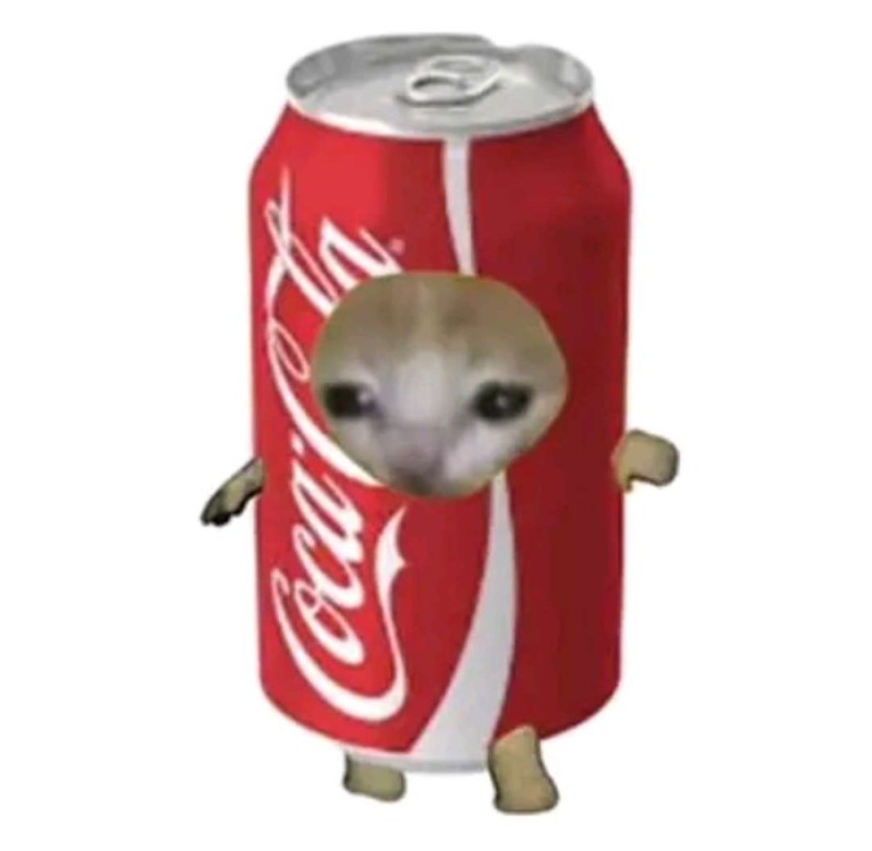 Create meme: funny animals , cats drinks, coke
