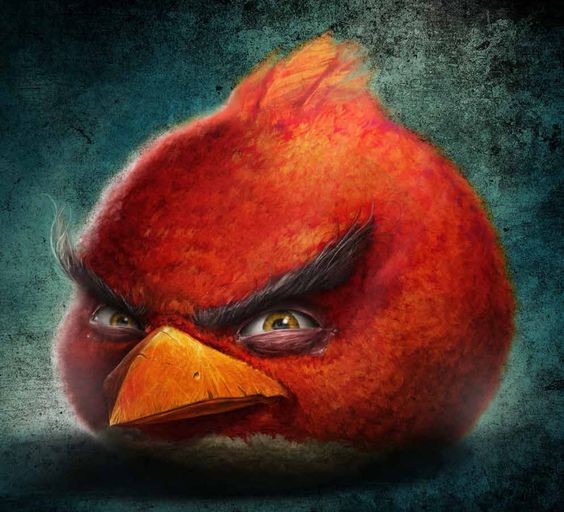 Создать мем: angry birds красный, злая птица из энгри бердз, реалистичные птицы энгри бердз