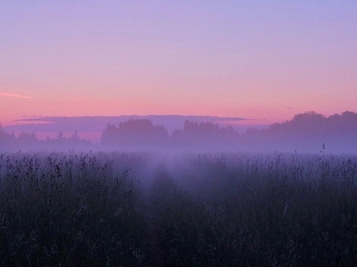 Create meme: A foggy morning in the field, foggy landscapes, morning fog 