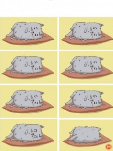 Create meme: pusheen lazy, cat, cute drawings