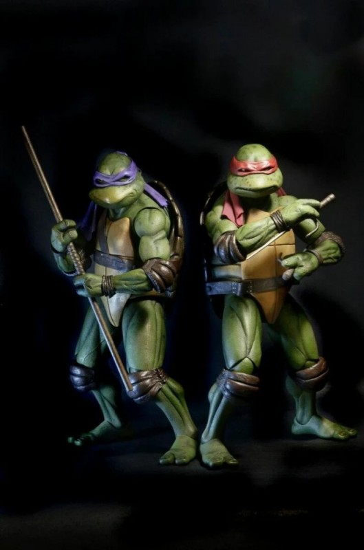 Create meme: teenage mutant ninja turtles, donatello's teenage mutant ninja turtles, donatello the turtle 1990