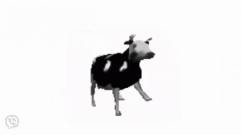 Create meme: dancing cow, cow dancing to polish music, polish cow