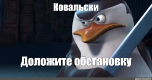 Создать мем: мемы с пингвинами ковальски, ковальский пингвин из мадагаскара мем, ковальски мем