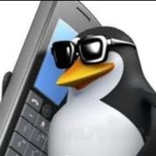 Create meme: the penguin with the phone, Hello penguin, meme penguin phone