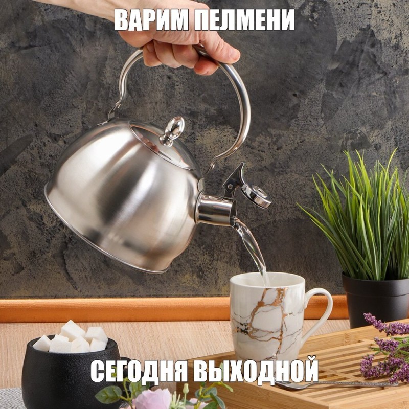 Create meme: kettle , kettle stainless steel, daniks msy-078 kettle