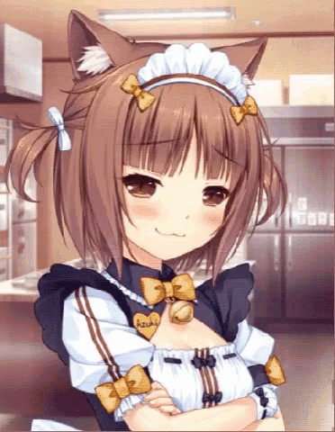 Создать мем: аниме некопара, azuki nekopara, некопара