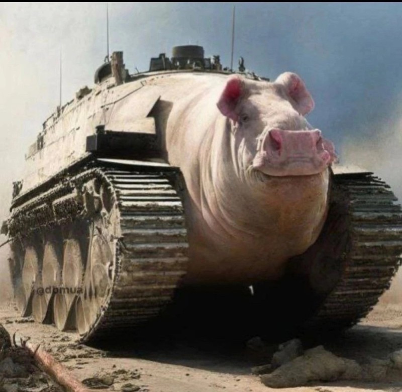 Create meme: battle pig, pig , pig tank