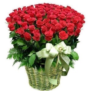 Create meme: favorite flowers, flowers, beautiful roses