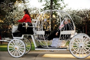 Create meme: wedding carriage