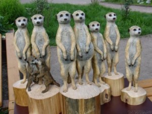 Create meme: animal sculpture, zoo, meerkat