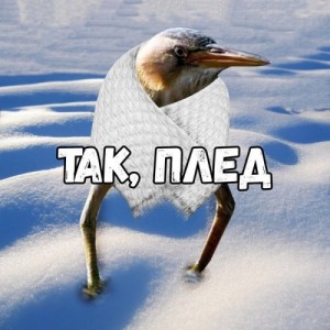 Создать мем: ТАК ПЛЕД