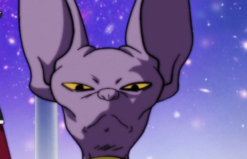 Создать мем: бирус драгонболл, dragon ball super, lord beerus