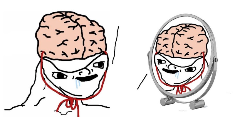 Create meme: brain meme, brain on a string meme, meme without a brain