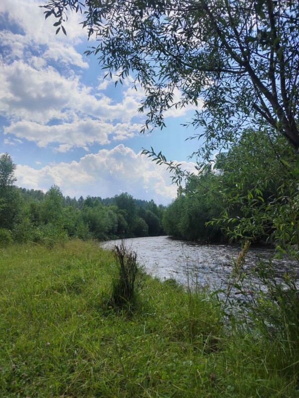 Create meme: luga river, the big river, river nature