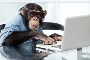 Create meme: smart monkey, monkey behind a computer, monkey in the office
