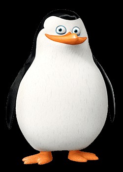 Create meme: the penguins of Madagascar Rico, A penguin from Madagascar, the penguins of Madagascar private