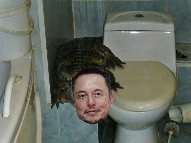 Create meme: musk Elon musk, Ilona musk, Crocodile in the toilet