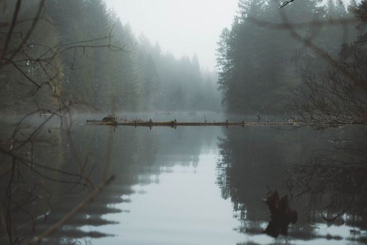 Create meme: wild lake Khakassia foggy, fog on the lake, lake 