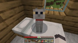 Create meme: a dog in minecraft, cat, minecraft