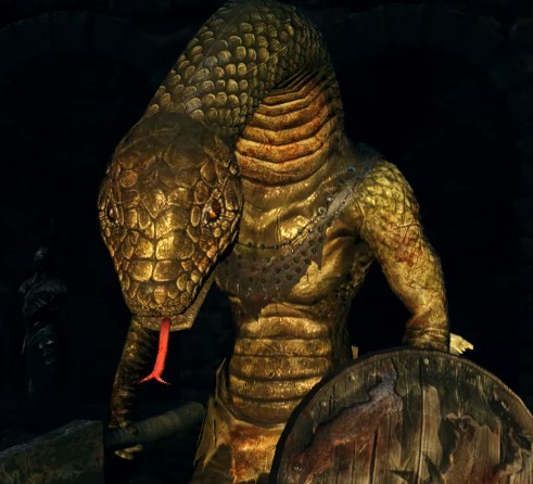 Create meme: dark souls of the Snake People, Snake People Dark Souls 1, dark Souls wiki