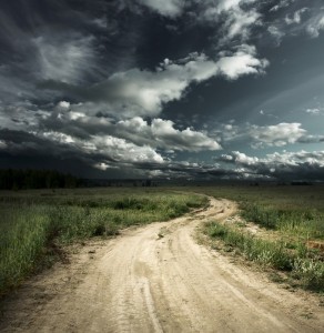 Create meme: the road to, road in a field the evening, country road