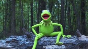 Создать мем: kermit, лягушка кермит мем, the frog