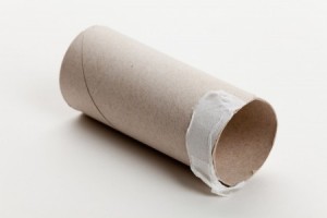 Create meme: sleeve roll of toilet paper, paper roll, the sleeve is a cardboard towel
