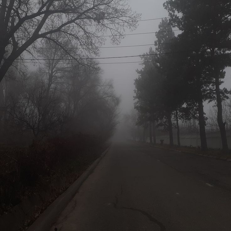 Create meme: nature aesthetics, the landscape is gloomy, fog 