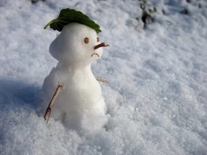Создать мем: снеговик зима, маленький снеговик, снеговик зимой