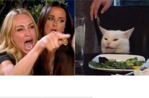 Создать мем: woman yelling at a cat, мемы с котами, кот и девушки мем